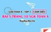 Giải bài 5 trang 10 Toán 8 Tập 1 SGK Cánh Diều